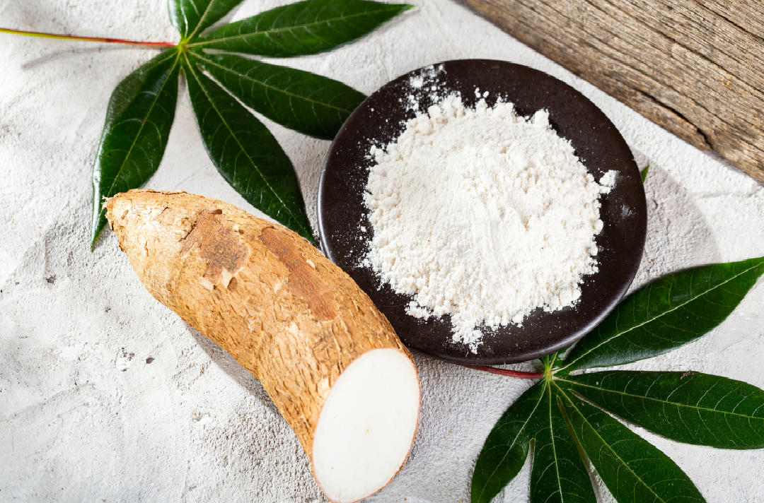 Cassava Farming & Processing